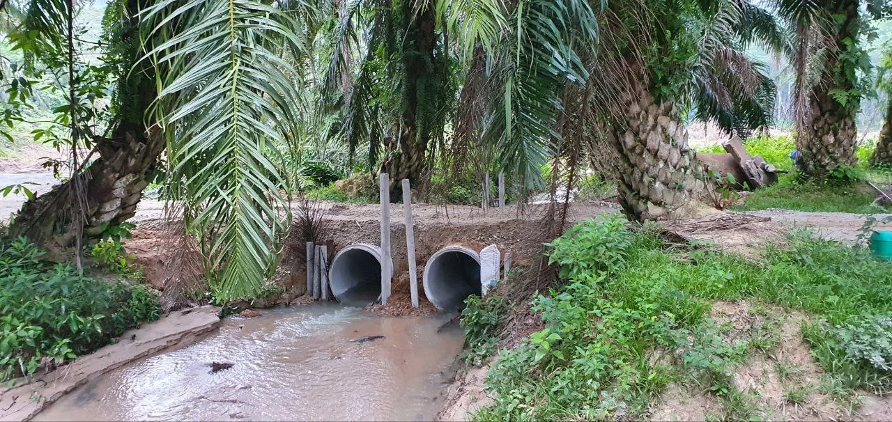 Dual concrete culvert drainage stream crossing built under access road